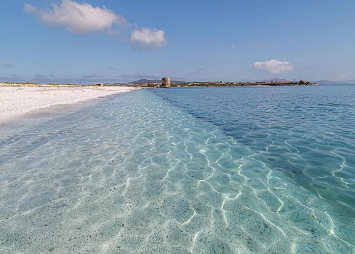 Apartman Comfortable Flat With Pool *