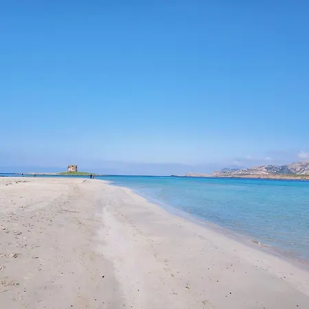 Comfortable Flat With Pool *