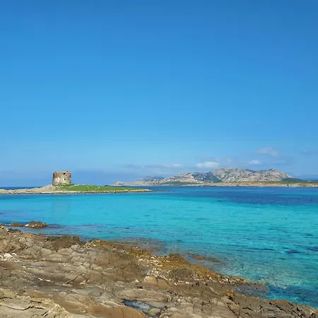 Comfortable Flat With Pool Apartment