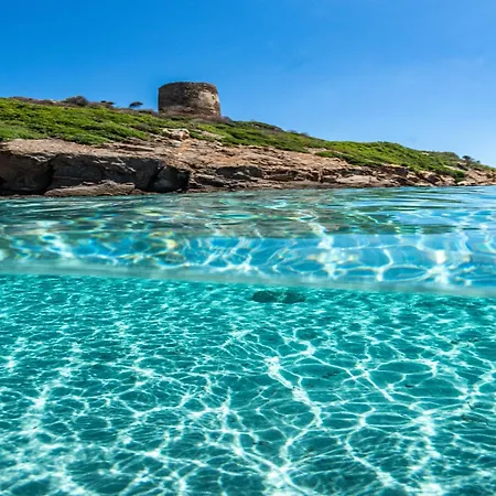 Comfortable Flat With Pool Apartment