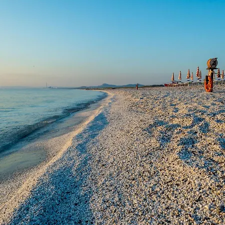 Apartment Comfortable Flat With Pool