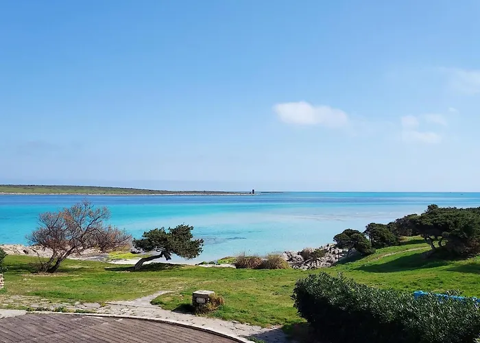 Comfortable Flat With Pool * Sassari