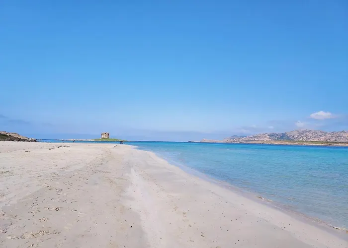 Comfortable Flat With Pool *